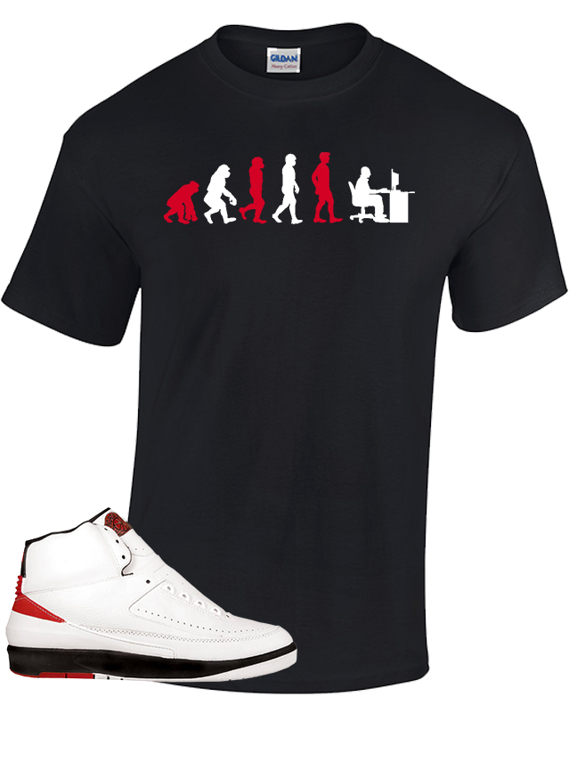 Tee To Match Air Jordan 2 Chicago Evolution